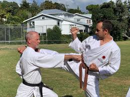 Image result for Devonport Shotokan Karate Club
