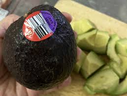 「アボカド大臣」の画像検索結果