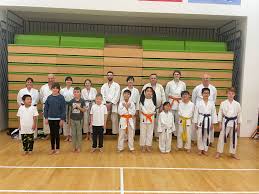 Image result for York University Karate Club