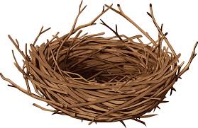 Attēlu rezultāti vaicājumam “nest”