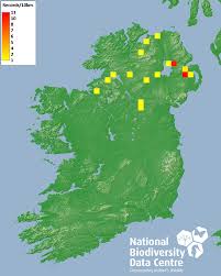 Attēlu rezultāti vaicājumam “Craspedosoma rawlinsi”