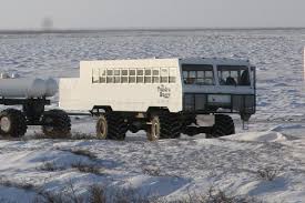 Image result for tundra buggy