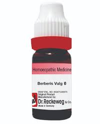 Attēlu rezultāti vaicājumam “Berberis vulgaris”