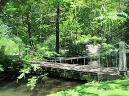Image result for sonsbeek park