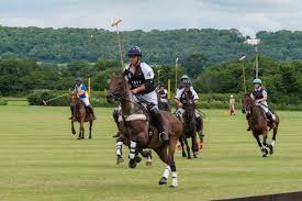 Image result for Taunton Vale Sports Club