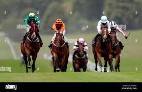 Image result for Elite Racing Club