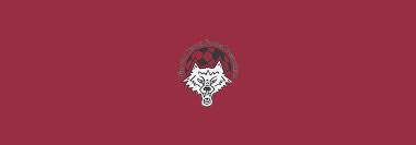 Image result for Warwick Wolves