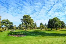 Image result for Blairbeth Golf Club