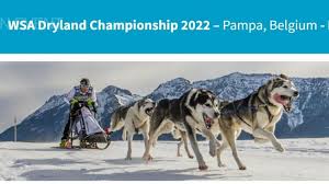 Image result for Team Ice Fire British Sled Dog Racing Team
