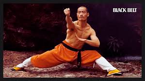 Image result for kung fu