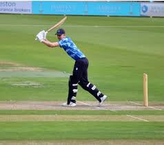 Image result for Steyning Cricket Club