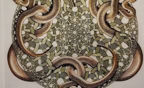 Image result for escher