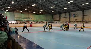 Image result for Norton Cyclones Skater Hockey Club