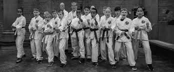 Image result for Reading Wado Kai Karate Club