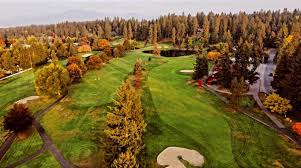 Image result for Avondale Gc