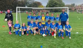 Image result for Hamilton Panthers Association Football Club