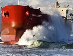 Image result for Pasha bulker