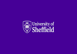 Image result for University of Sheffield Ultimate- Phat 'eds