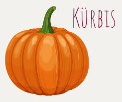 Image result for Kürbis
