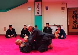 Image result for Bujinkan Ninpo Dojo