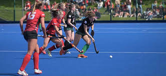 Image result for Swansea Bay Hockey Club