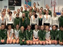 Image result for Heathrow Gymnastics Club