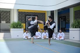 Image result for Durham University Shorinji Kempo Society Club