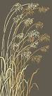 Wild Grass Stencils Oversize Wild Oats Stencil