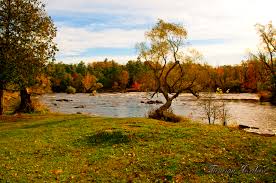 Image result for Blakeney Badminton Club