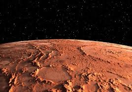 Image result for mars trees
