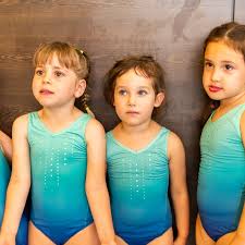 Image result for Lynx Gymnastics Club