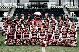 Image result for Sheffield Scorpions Cheerleading