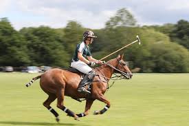 Image result for Woolmers Park Polo Club