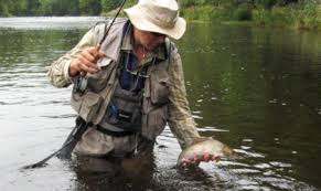 Image result for Becmain Angling Society