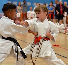 Image result for Sendai Kushiro Karate