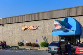 Image result for The Lancaster Fish