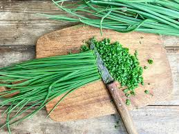 Image result for Schnittlauch