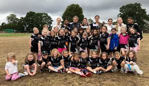 Image result for Hampton Hill Cricket Club