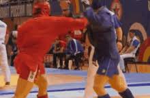 Image result for Combat Sambo