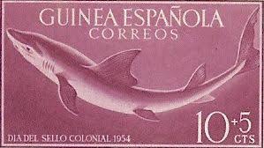 Image result for Paragaleus pectoralis