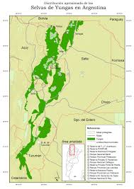 Výsledek obrázku pro yungas