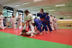 Image result for Towy Judo Club, Llandovery, Wales