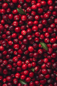 Attēlu rezultāti vaicājumam “Oxycoccus fruit”