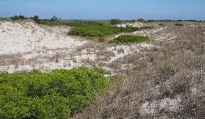 Image result for Bristol North Sc