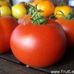 Afbeeldingsresultaat voor oranje van goeienbier tomato