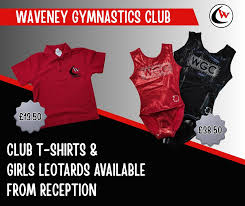 Image result for Waveney Gymnastics Club