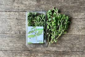 Image result for Oregano