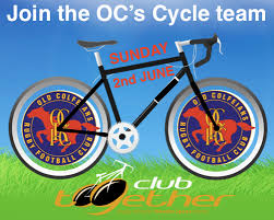 Image result for Colfeian Sports Club