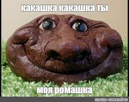 Картинки по запросу ты какашка