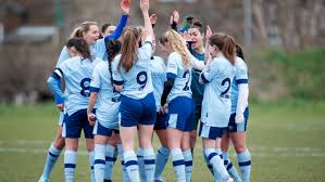 Image result for Haywards Heath Town Ladies Football Club